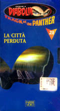 Video21.jpg (15463 byte)