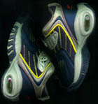 Scarpe.jpg (13262 byte)