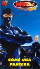 Video1.jpg (19607 byte)