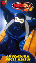 Video3.jpg (19856 byte)