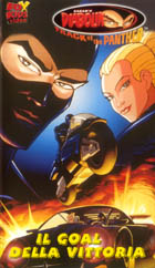 Video4.jpg (21922 byte)