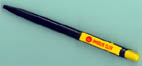 Penna.JPG (4388 byte)